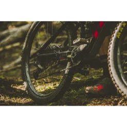 SRAM XG-1275 Eagle Cassette 12-speed - 10-50 Teeth -Rijwiel Onderdel Verkoopwinkel 230859 03 d 445030