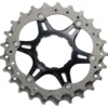 Shimano Rondselunit Voor CS-R9100 / CS-9000 Cassette 11-Voudig | 23-25 T | Y1VT98030